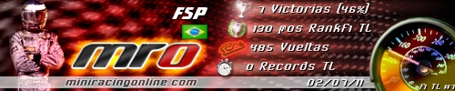 Firma Fsp