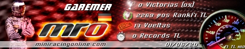 Firma Garemer