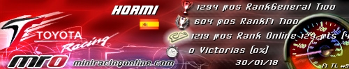 Firma hormi