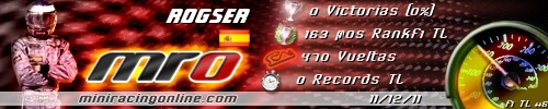 Firma Rogser