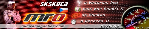 Firma skskuca