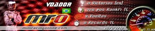 Firma Voador